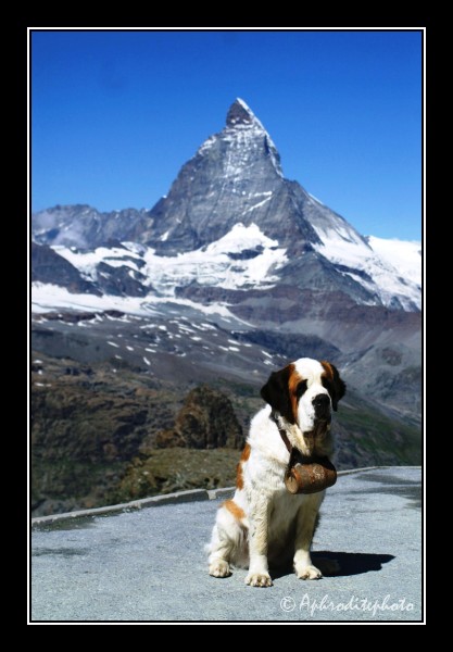 03 Matterhorn im Sommer